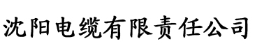 午夜看片大香蕉电缆厂logo